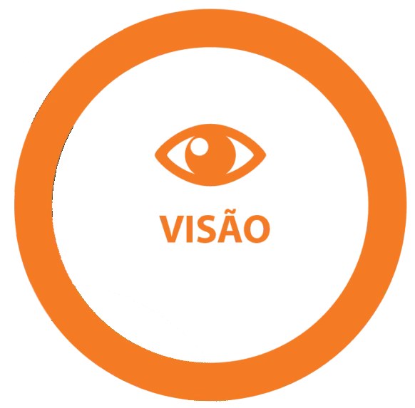 Visão
